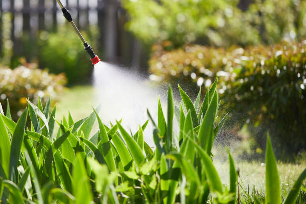 24/7 Emergency Mosquito Control experts in Hagerstown, IN